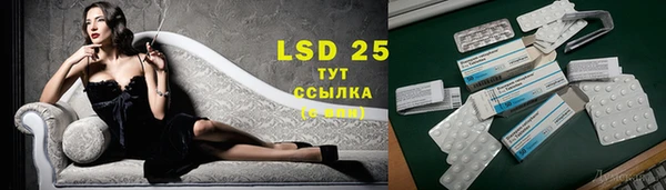 прущие грибы Алексеевка