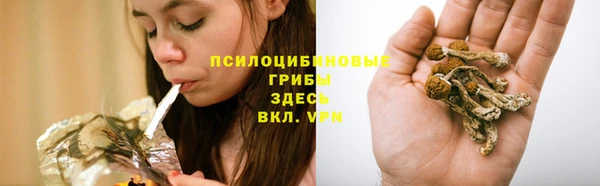 прущие грибы Алексеевка