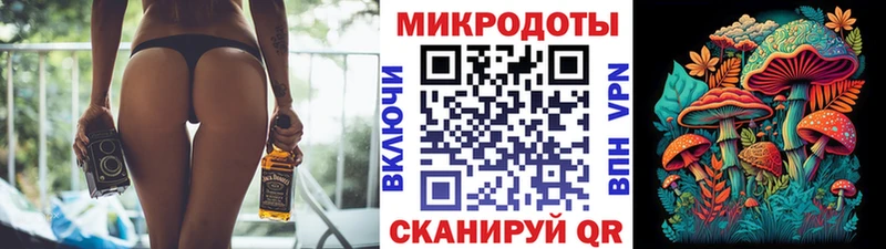 маркетплейс телеграм Яхрома Псилоцибиновые грибы Psilocybe